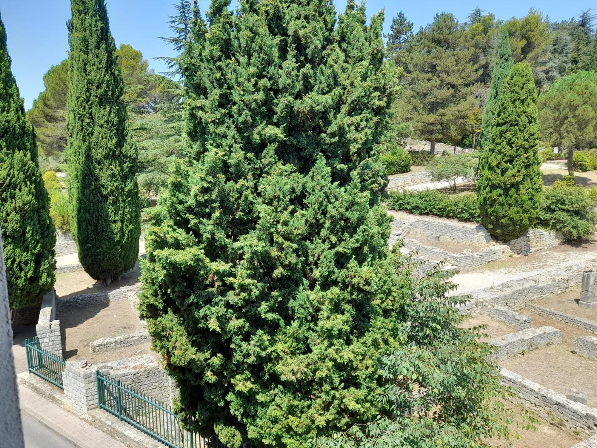 Apartamento Grande Terrasse Et Vue Sur Le Site Antique Vaison-la-Romaine Exterior foto